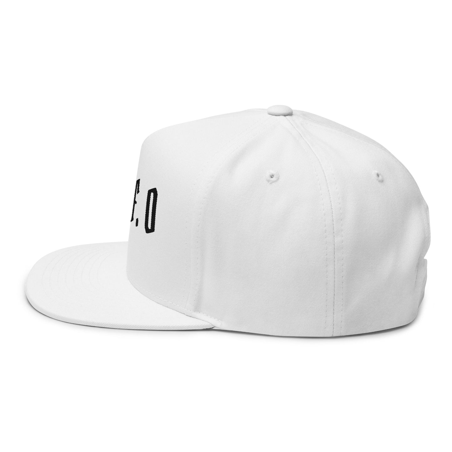FAFO Embroidered Flat Bill Cap — Bold Streetwear Snapback