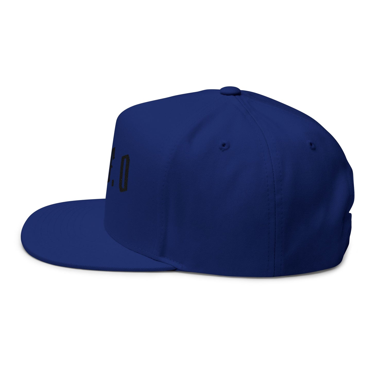 FAFO Embroidered Flat Bill Cap — Bold Streetwear Snapback