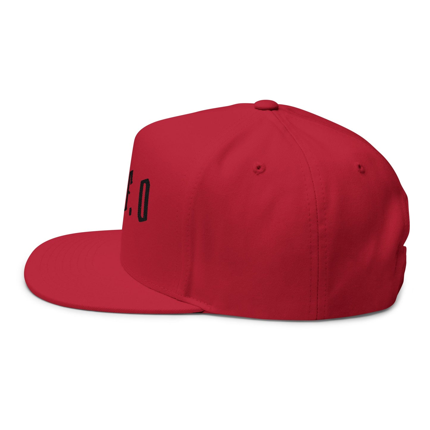 FAFO Embroidered Flat Bill Cap — Bold Streetwear Snapback